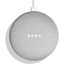 Google Home Mini