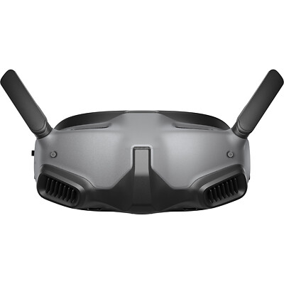 Goggles Integra