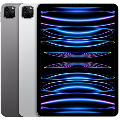 Apple iPad Pro 11 inch (4th Gen.)