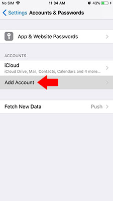 iPhone Accounts & Password menu