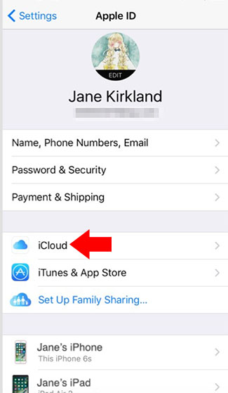 iphone apple id menu icloud location