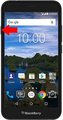 Blackberry Aurora