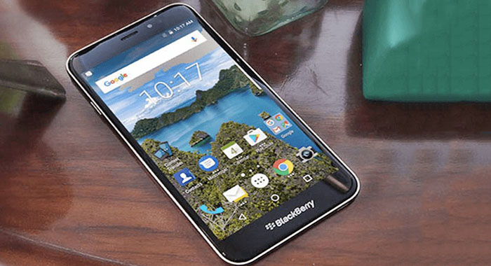 Blackberry Aurora