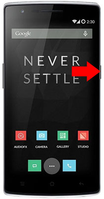 OnePlus One