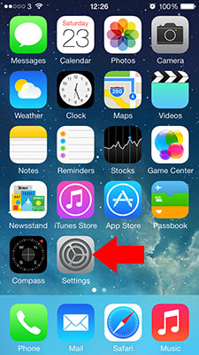 iphone home screen settings app